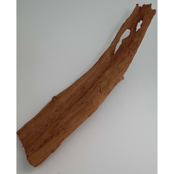 aquadeco Yati-Holz, Jungle Wood M #08