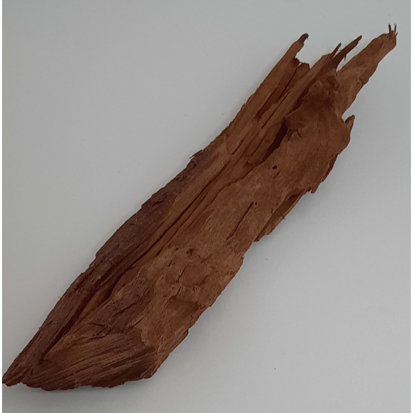 aquadeco Yati-Holz, Jungle Wood M #10