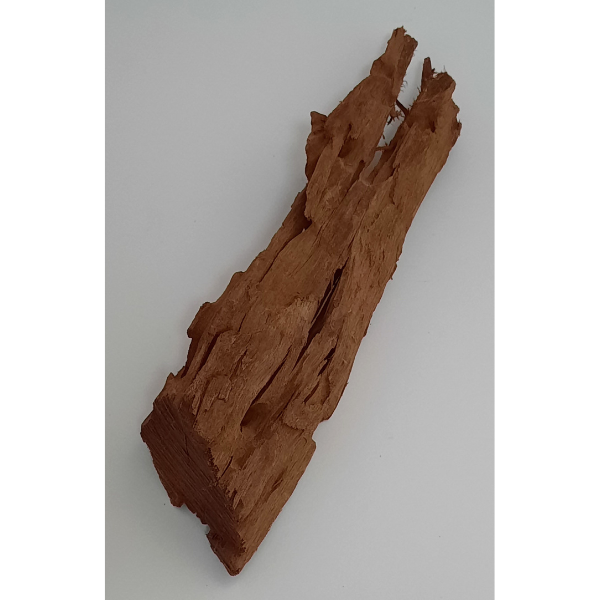 aquadeco Yati-Holz, Jungle Wood M #10