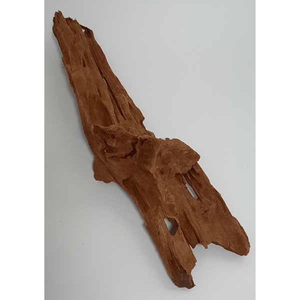 aquadeco Yati-Holz, Jungle Wood M #18