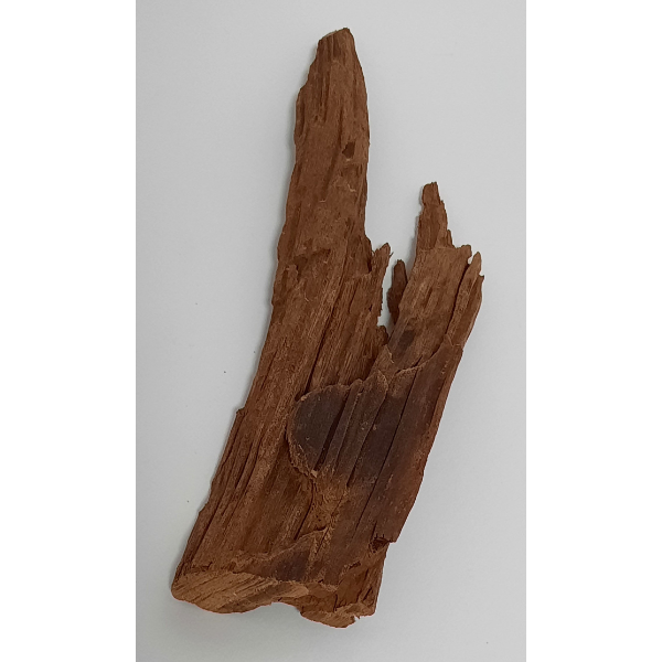 aquadeco Yati-Holz, Jungle Wood M #19