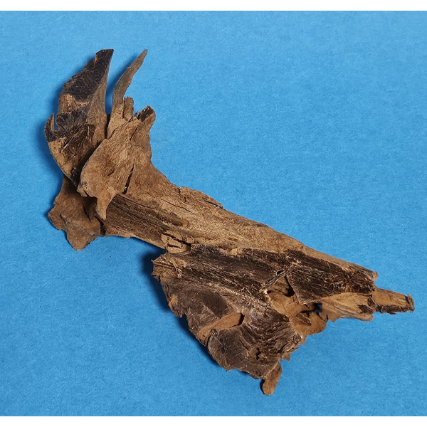 aquadeco Yati-Holz, Jungle Wood S #01