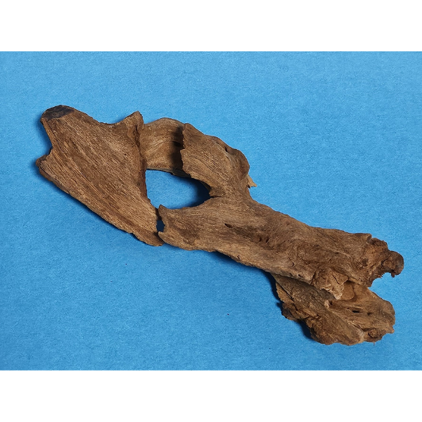 aquadeco Yati-Holz, Jungle Wood S #02