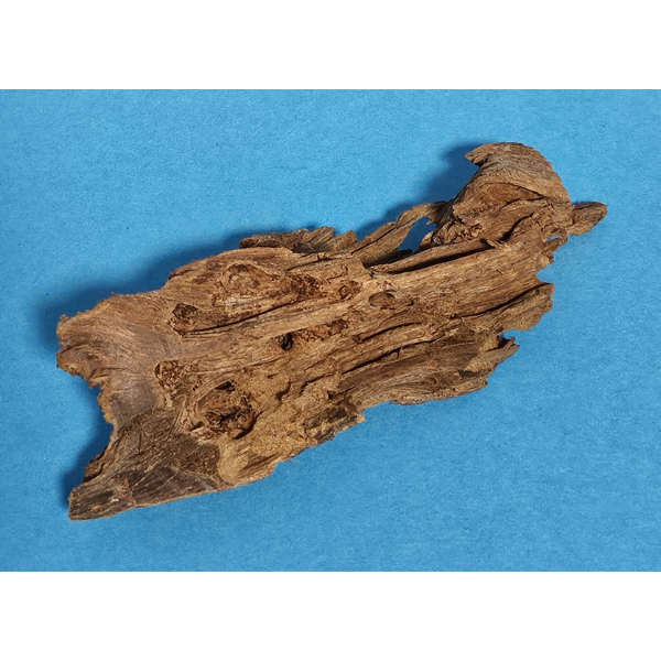 aquadeco Yati-Holz, Jungle Wood S #08