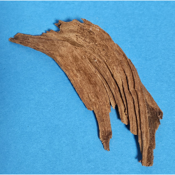 aquadeco Yati-Holz, Jungle Wood S #12