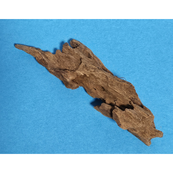 aquadeco Yati-Holz, Jungle Wood S #19