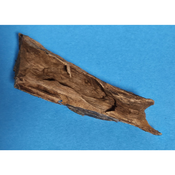 aquadeco Yati-Holz, Jungle Wood S #20