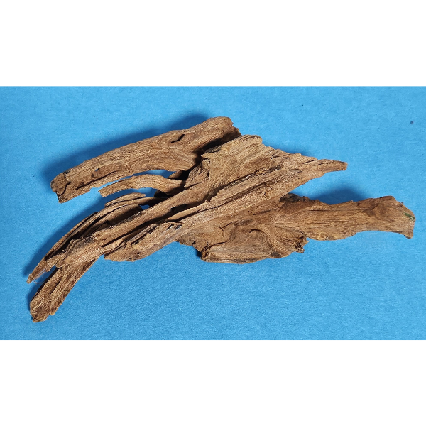 aquadeco Yati-Holz, Jungle Wood S #21