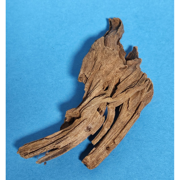 aquadeco Yati-Holz, Jungle Wood S #21