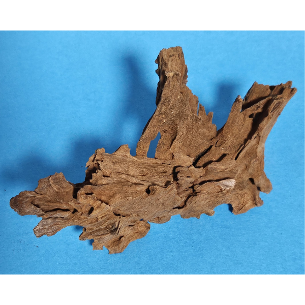 aquadeco Yati-Holz, Jungle Wood S #24
