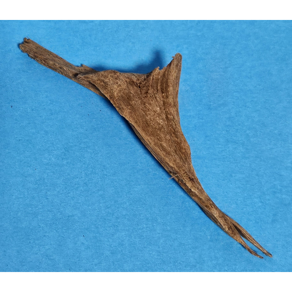 aquadeco Yati-Holz, Jungle Wood S #26