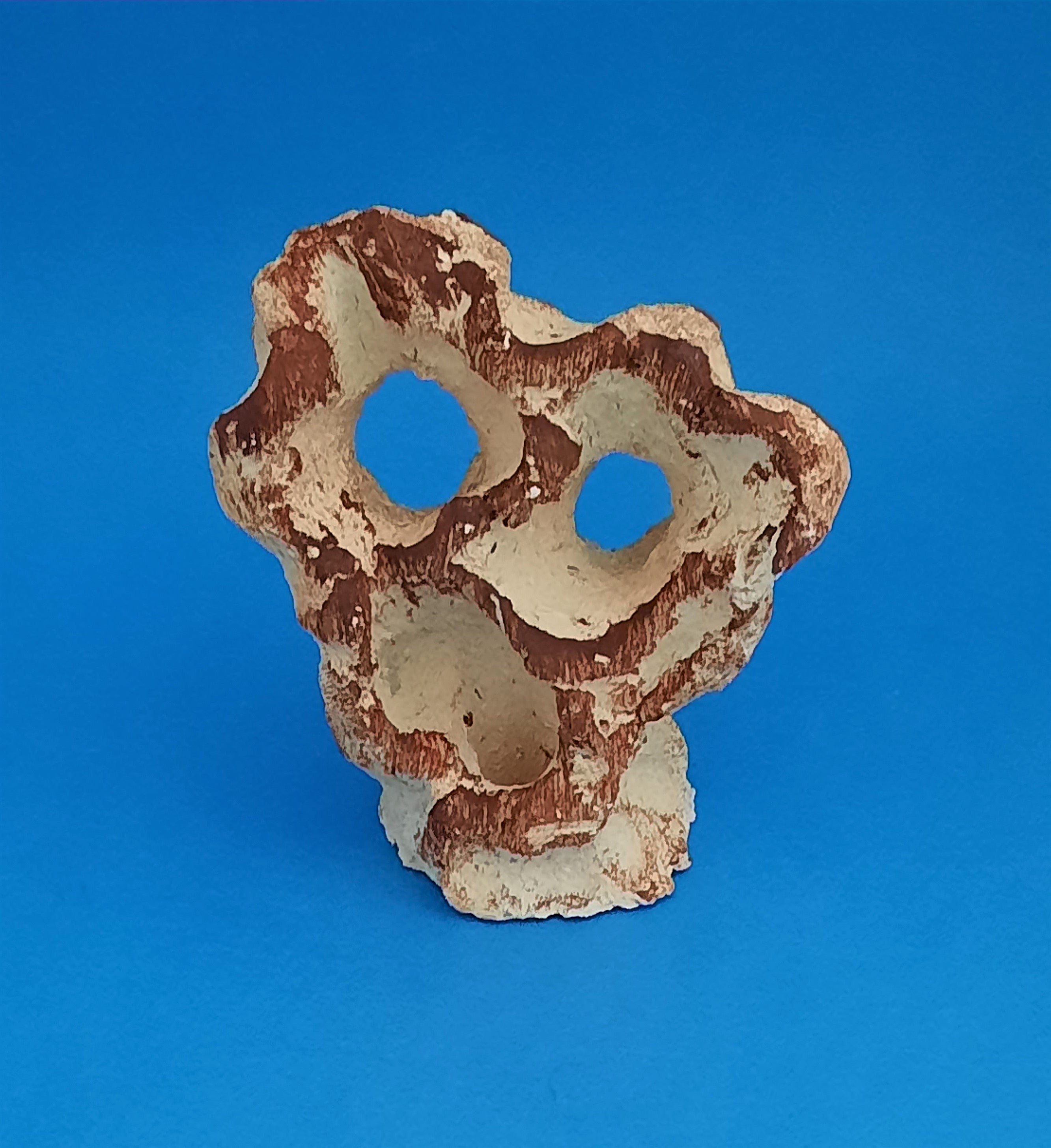 Aquaroche Doppelloch-Felsen mit Pflanzfläche