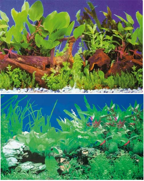 Aquarium Fotorückwand Wurzeln mit Pflanzen