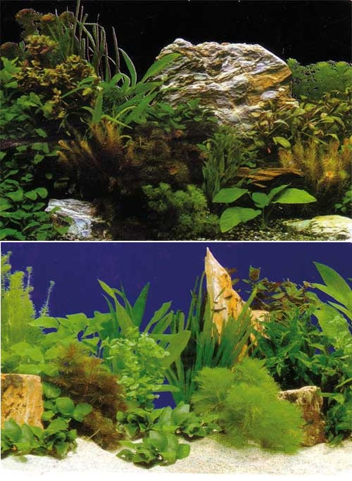 Aquarium Fotorückwand Motiv Felsen mit Pflanzen, Oasis