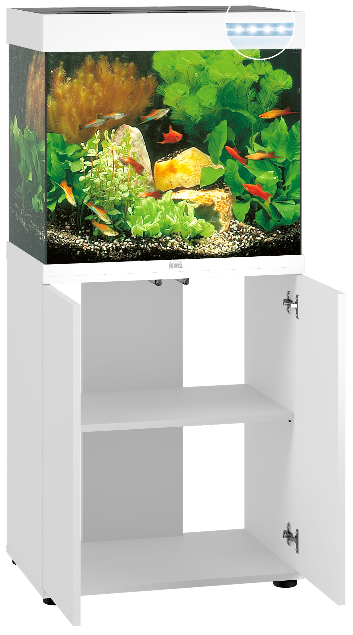 Outlet Aquarium komplett 120 L LED mit Fische, Pflanzen und Zubehör