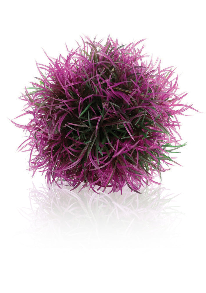 biOrb Gewächsball lila