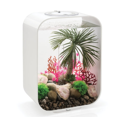 biOrb Palme Seychellen Ornament L