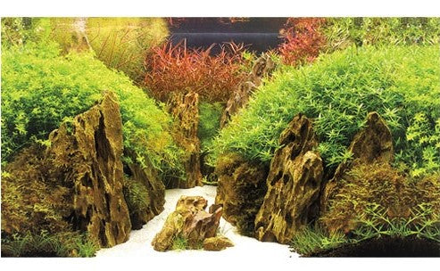 Hobby Aquarium Fotorückwand 31017 H=50cm