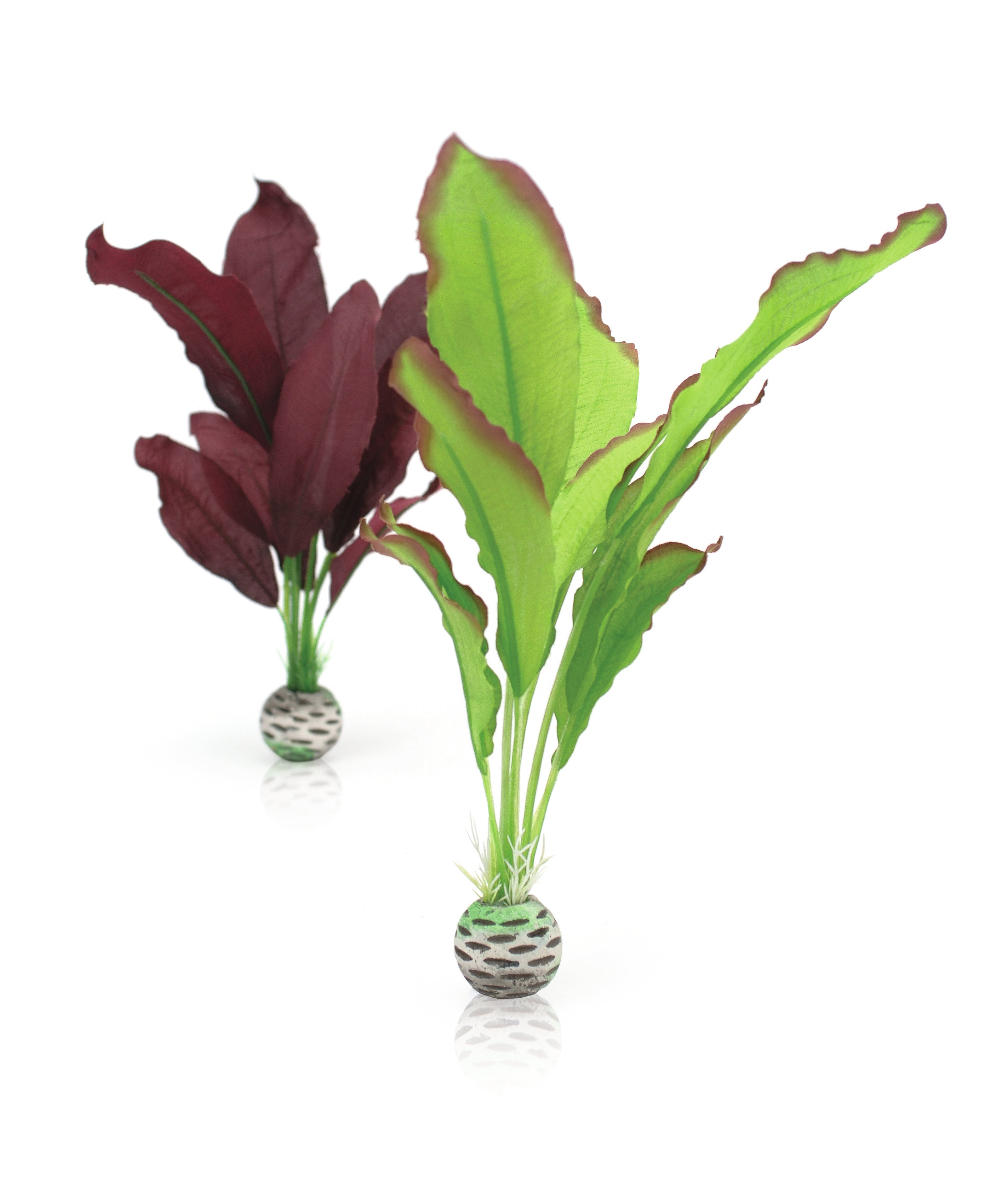 biOrb Seiden-Pflanzen Set M grün & lila