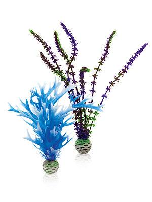 biOrb Pflanzen-Set M blau & lila