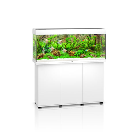 Juwel Rio 240 LED SBX 240l Aquarium Kombination